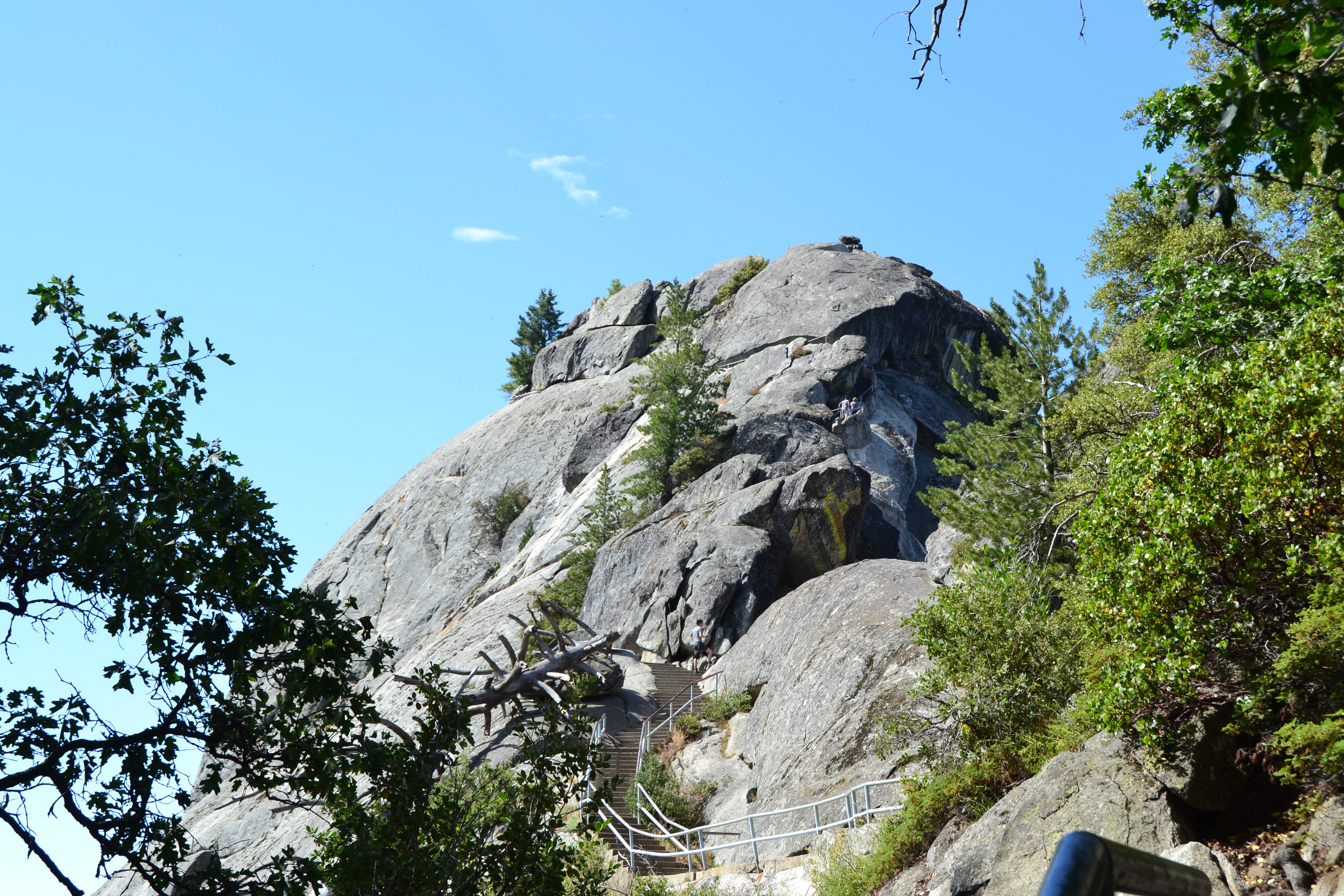 Sequoia National Park