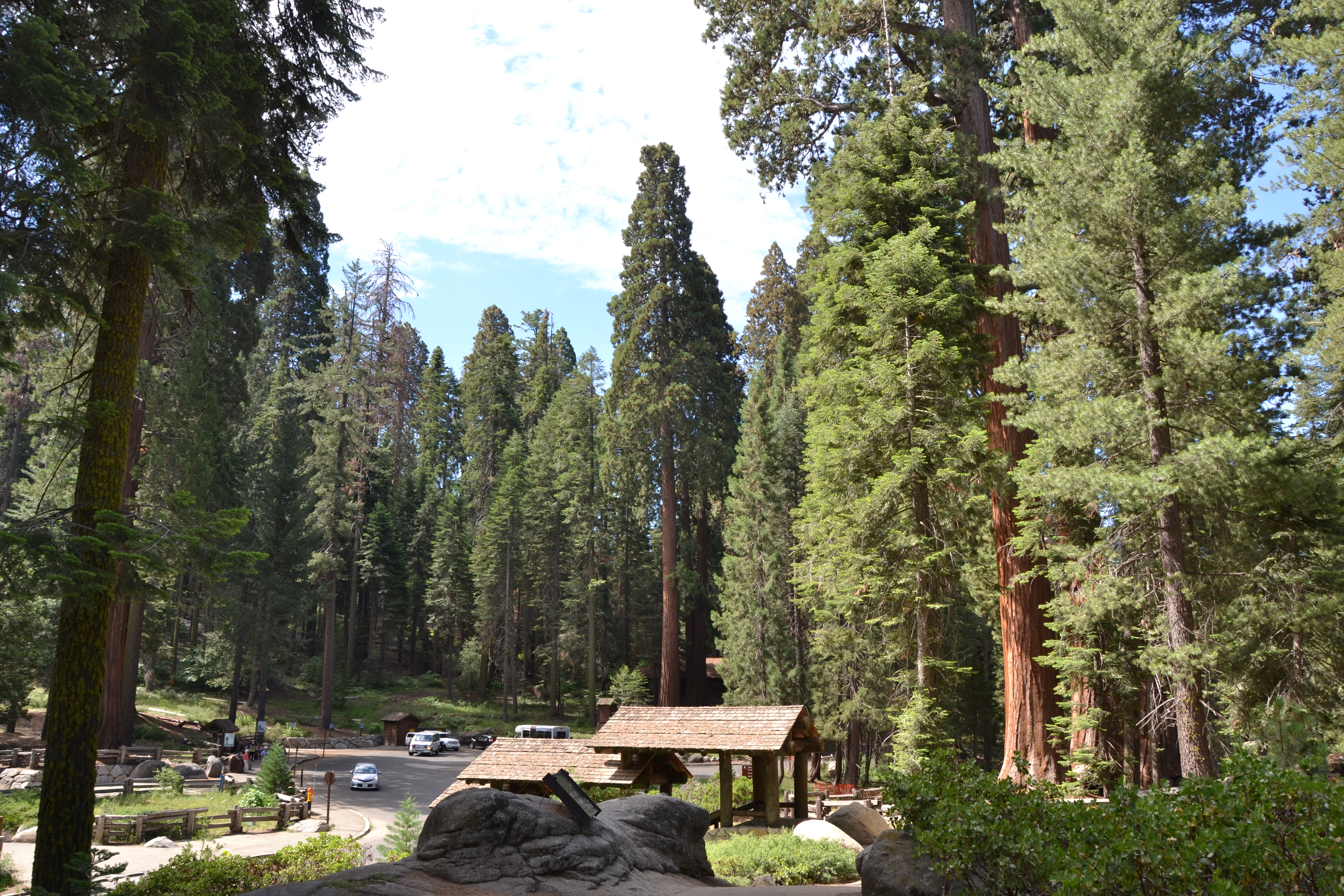 Sequoia National Park